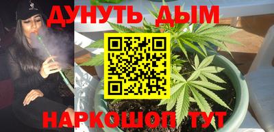 сатива Севастополь