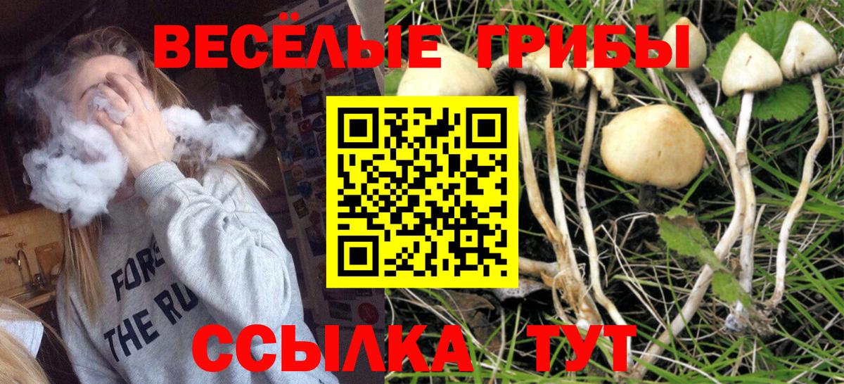 Саратов  где продают   Вход с VPN  Псилоцибиновые грибы Cubensis 