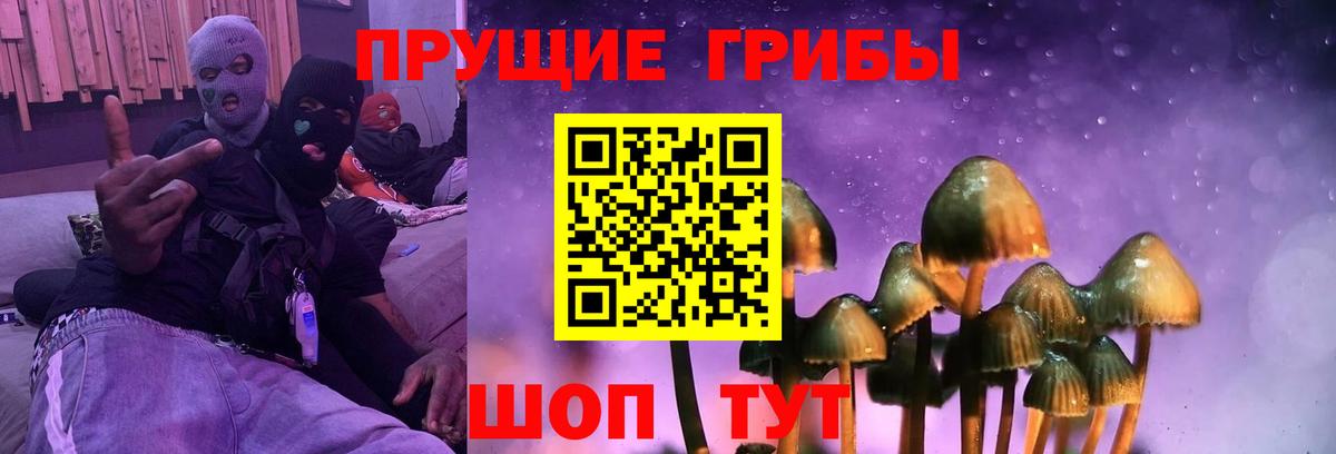 Галлюциногенные грибы Cubensis Саратов